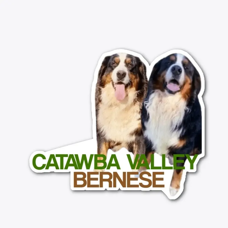 Catawba Valley Bernese Snowman & Witchie