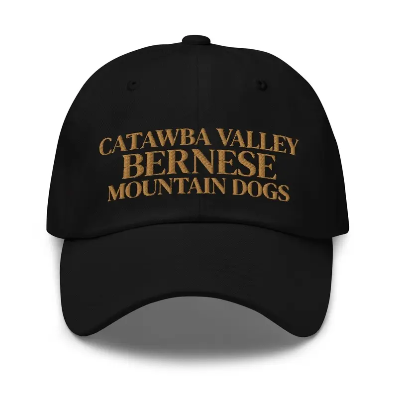 Catawba Valley Baseball Cap