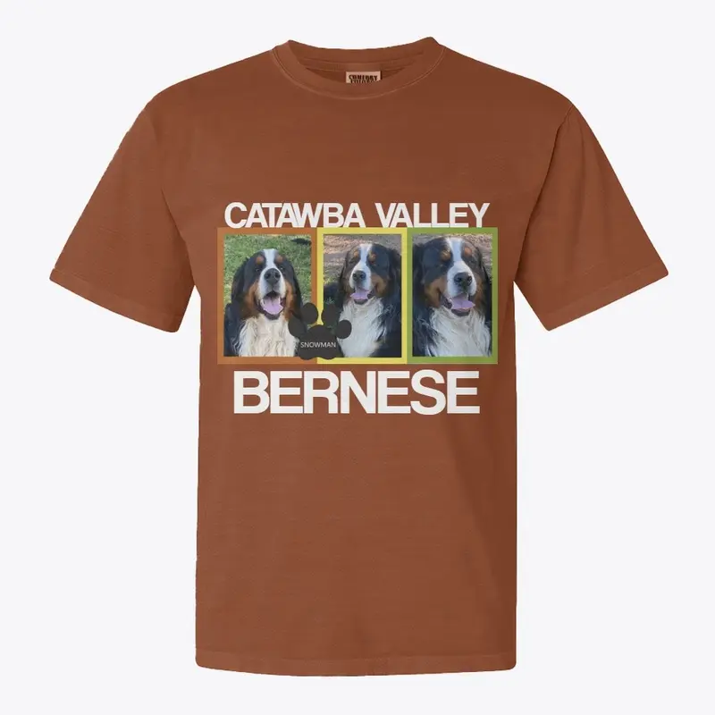 Catawba Valley Snowman Tee